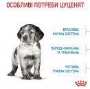 Фото - сухой корм Royal Canin MEDIUM PUPPY корм для щенков средних пород от 2 до 12 месяцев