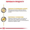 Фото 3 - ветеринарные корма Royal Canin URINARY S/O AGEING 7+ лечебный влажный корм для пожилых собак старше 7 лет