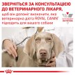 Фото - ветеринарные корма Royal Canin GASTRO INTESTINAL LOW FAT LF22 (ГАСТРО ИНТЕСТИНАЛ ЛОУ ФЕТ) сухой лечебный корм для собак