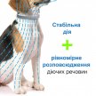 Фото 6 - від бліх та кліщів Bayer Foresto (Форесто) - Нашийник від кліщів, бліх, вошей та власоїдів для котів та собак вагою менше 8 кг (захист 8 місяців)