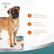 Фото 6 - хондропротекторы 8in1 (8в1) EXCEL GLUCOSAMIN & MSM (ЕКСЕЛЬ ГЛЮКОЗАМИН И МСМ) пищевая добавка для собак