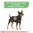 Фото - сухий корм Royal Canin MINI DIGESTIVE CARE корм для собак дрібних порід із чутливим травленням (до 10 кг)