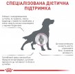 Фото 4 - ветеринарные корма Royal Canin MOBILITY SUPPORT (МОБИЛИТИ) сухой лечебный корм для собак  для здоровья суставов