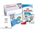 Фото - сухий корм Royal Canin X-SMALL PUPPY (ЦУЦЕНЯТА ДРІБНИХ ПОРОД) корм для цуценят до 10 місяців