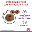 Фото 7 - сухий корм Royal Canin APPETITE CONTROL (АПЕТИТ КОНТРОЛЬ) корм для стерилізованих кішок від 1 до 7 років