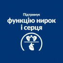 Фото 6 - ветеринарні корми Hill's Prescription Diet y/d Thyroid Care корм для котів з гіпертиреозом