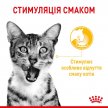 Фото - влажный корм (консервы) Royal Canin SENSORY MULTIPACK GRAVY консервы для привередливых кошек НАБОР