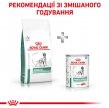 Фото 6 - ветеринарні корми Royal Canin DIABETIC сухий лікувальний корм для собак