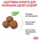 Фото - сухий корм Royal Canin MAXI PUPPY корм для цуценят великих порід від 2 до 15 місяців