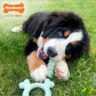 Фото 4 - іграшки Nylabone Puppy Chew Tactile Ring Chicken жувальна іграшка для цуценят КІЛЬЦЕ, смак КУРКИ