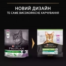 Фото - сухой корм Purina Pro Plan (Пурина Про План) Renal Plus Sterilised Adult Turkey cухой корм для стерилизованных кошек ИНДЕЙКА