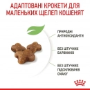 Фото 8 - сухий корм Royal Canin KITTEN (КІТТЕН) корм для кошенят до 12 місяців