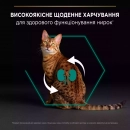 Фото - сухий корм Purina Pro Plan (Пуріна Про План) Adult Renal Plus Chicken сухий корм для кішок КУРКА