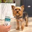Фото 4 - для зубів та пащі Vets Best Dental Foam стоматологічна піна для догляду за зубами та ротовою порожниною собак