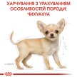 Фото - сухий корм Royal Canin CHIHUAHUA PUPPY (ЧИХУАХУА ПАППІ) корм для цуценята до 8 місяців