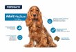 Фото - сухий корм Advance (Едванс) Dog Medium Adult - корм для дорослих собак середніх порід (з куркою та рисом)