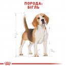 Фото - сухой корм Royal Canin BEAGLE ADULT (БИГЛЬ) корм для собак от 12 месяцев