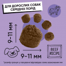 Фото - сухой корм Half&Half Adult Medium Breed Beef сухой корм для взрослых собак средних пород ГОВЯДИНА