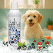 Фото 2 - повседневный уход (шампуни, кондицонеры и др. средства) Modes Shampoo Wild Berries шампунь для кошек и собак АРОМАТ ЛЕСНЫХ ЯГОД