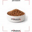 Фото 4 - сухой корм ProScience Healthy Growth Kitten Lamb сухой корм для котят ЯГНЕНОК