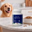 Фото 2 - для шлунково-кишкового тракту (ЖКТ) Cymedica Amix Vet Digestion Care таблетки для підтримки травлення у собак і котів