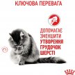 Фото - сухий корм Royal Canin HAIRBALL CARE (ХЕЙРБОЛ КЕАР) сухий корм для дорослих кішок