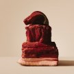 Фото 4 - сухий корм Carnilove Active Venison & Reindeer & Wild Boar сухий беззерновий корм для собак ОЛЕНИНА та ДИКИЙ КАБАН