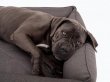 Фото - лежаки, матрасы, коврики и домики Harley & Cho SOFA GRAY лежак для собак, серый