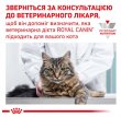 Фото - ветеринарные корма Royal Canin RECOVERY (РЕКАВЕРИ) лечебный влажный корм для собак и кошек