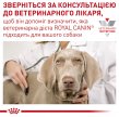 Фото 9 - ветеринарні корми Royal Canin GASTROINTESTINAL GI25 (ГАСТРО ІНТЕСТИНАЛ) сухий лікувальний корм для собак