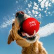 Фото 3 - игрушки Waudog Fun Red Ball игрушка для собак КРАСНЫЙ МЯЧ