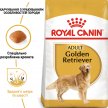 Фото - сухой корм Royal Canin GOLDEN RETRIEVER ADULT (ГОЛДЕН РЕТРИВЕР ЭДАЛТ) корм для собак от 15 месяцев