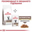 Фото 9 - ветеринарные корма Royal Canin GASTROINTESTINAL FIBRE RESPONSE сухой лечебный корм для кошек от 1 года