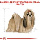 Фото - сухой корм Royal Canin SHIH TZU ADULT (ШИ ТЦУ ЭДАЛТ) корм для собак от 10 месяцев