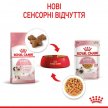 Фото 3 - вологий корм (консерви) Royal Canin KITTEN INSTINCTIVE in JELLY вологий корм для кошенят у віці 4-12 місяців