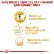 Фото 2 - влажный корм (консервы) Royal Canin BRITISH SHORTHAIR ADULT влажный корм для кошек породы британская короткошерстная