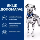 Фото - ветеринарні корми Hill's Prescription Diet Urinary Care корм для собак при сечокам'яній хворобі та захворюваннях нирок