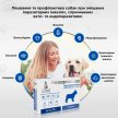 Фото 6 - от блох и клещей Modes Квадромидас таблетки от блох, клещей и гельминтов для собак