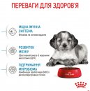 Фото - сухой корм Royal Canin MEDIUM PUPPY корм для щенков средних пород от 2 до 12 месяцев