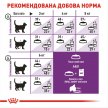 Фото - сухой корм Royal Canin SENSIBLE 33 (ЧУВСТВИТЕЛЬНОЕ ПИЩЕВАРЕНИЕ) корм для кошек от 1 года