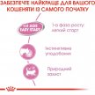 Фото - влажный корм (консервы) Royal Canin MOTHER & BABYCAT (БЕБИКЕТ ИНСТИНКТИВ) Влажный корм для котят с рождения до 4 месяцев