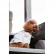 Фото 6 - одяг Pet Fashion Maryana вишиванка для собак