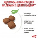 Фото - сухой корм Royal Canin GIANT JUNIOR (ЮНИОРЫ ГИГАНТСКИХ ПОРОД) корм для щенков от 8-24 месяцев