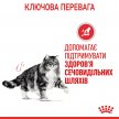 Фото 3 - сухой корм Royal Canin URINARY CARE сухой корм для кошек от 1 до 12 лет