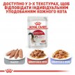 Фото 4 - вологий корм (консерви) Royal Canin INSTINCTIVE in Loaf - консерви для котів