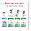 Фото 5 - сухой корм Royal Canin MINI ADULT (СОБАКИ МЕЛКИХ ПОРОД ЭДАЛТ) корм для собак от 10 месяцев