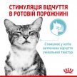 Фото - вологий корм (консерви) Royal Canin SENSORY FEEL JELLY консерви для вибагливих кішок