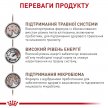 Фото 3 - ветеринарные корма Royal Canin GASTROINTESTINAL GI32 (ГАСТРО ИНТЕСТИНАЛ) сухой лечебный корм для кошек от 1 года