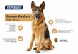 Фото - сухий корм Advance (Едванс) Dog Maxi German Shepherd - корм для дорослих німецьких вівчарок (з індичкою та рисом)