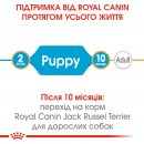 Фото - сухий корм Royal Canin JACK RUSSELL PUPPY (ДЖЕК РАССЕЛ ПАППІ) корм для цуценята до 10 місяців